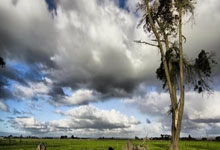 ATP迈阿密大师赛:德约完胜穆塞蒂强势晋级八强.