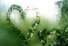 ng28:“世界游泳锦标赛将于2025年在巴塞罗那举行”.