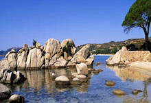 埃贝尔:我们没能拿到分数扩大领先优势,我们很恼火.